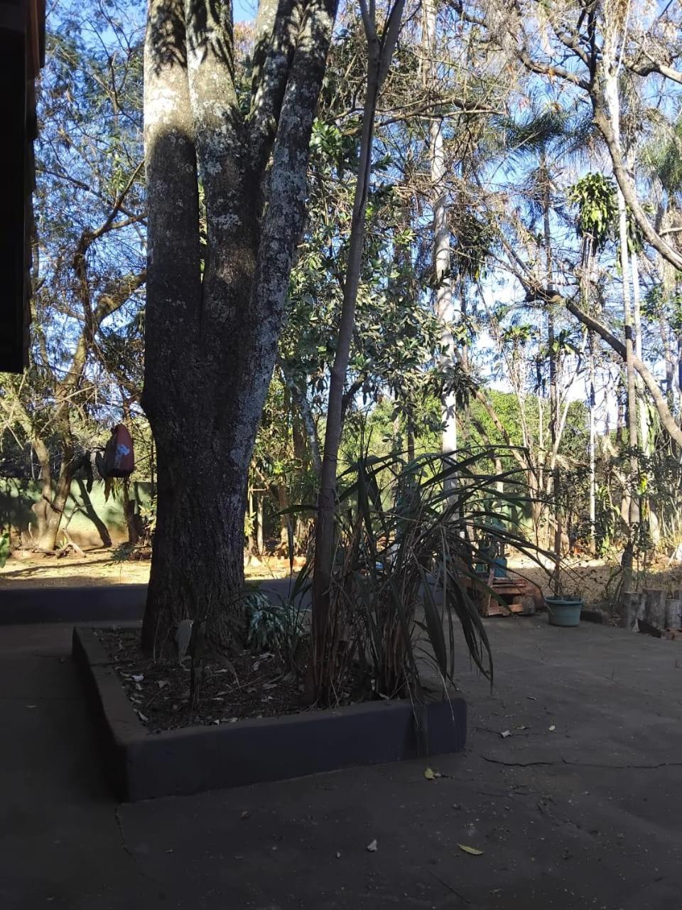 Sitio Bemtevi - Jockey Camping - Uberlandia Villa Kültér fotó